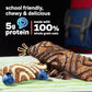 KIND Kids School Friendly Blueberry Muffin and Chocolate Chip Oat Bars Variety Pack  Tree Nut Free  Peanut Free  Gluten Free  Made With Whole Grain Oats  5g Protein  10 Count