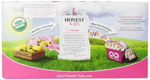 Honest Kids, Berry Berry Good Lemonade (8-Count), 54 Ounce