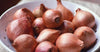 Generic Fresh Shallots, USA Grown, Non-GMO, Allium schoenoprasum (Sweet Onion), Bulk (1 Pound)