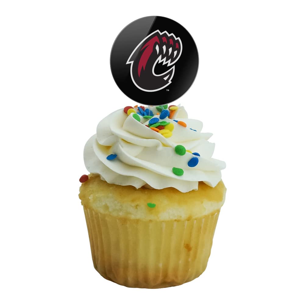 Central Washington University Secondary Logo Cupcake Picks Toppers Decoration Set Of 6