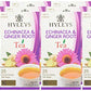 12 Pack Of Hyleys Wellness Natural Echinacea & Ginger Root Green Tea - 25 Tea Bags - (100% Natural, Sugar Free, Gluten Free And