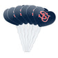 GRAPHICS & MORE Cupcake Picks Set of 6 Acrylic Heart Toppers Shippensburg University