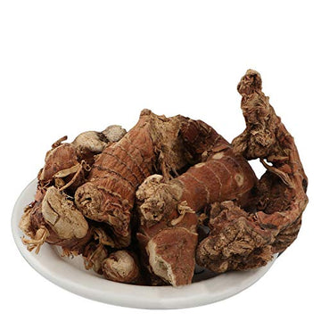 Yuvika Kulanjan - Kulinjan - Paan Jadd - Alpinia Galanga Wild - Siamese Ginger - Thai Ginger (100 Grams)