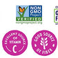 Rhythm Superfoods Crunchy Broccoli Bites, White Cheddar & Parmesan, Organic & Non-Gmo, 1.4 Oz, Vegan/Gluten-Free Vegetable Super