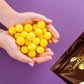 SweetGourmet Original LemonHead Candy Wrapped Bulk | 2 Pounds