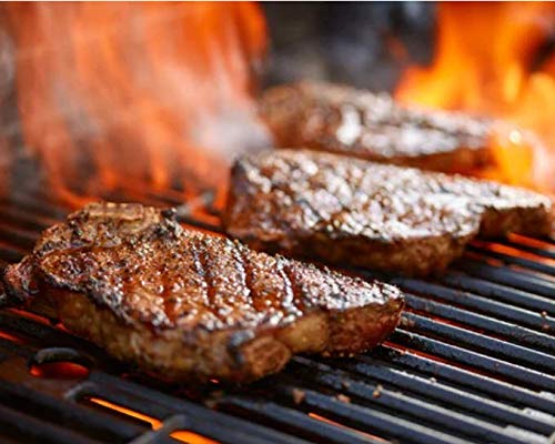 Bolners Fiesta Gourmet Steak Seasoning, Set of 2, 20-Ounce Each, 48 Ounce Total