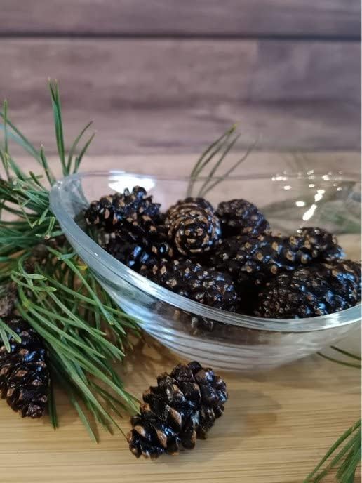 Samsonov & Partners Candied Young Pine Cones Siberian Delicacy 100G/ 3.53Oz (100G/ 3.53Oz)