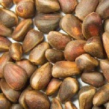 Nuts Pine Nuts (1X5Lb )