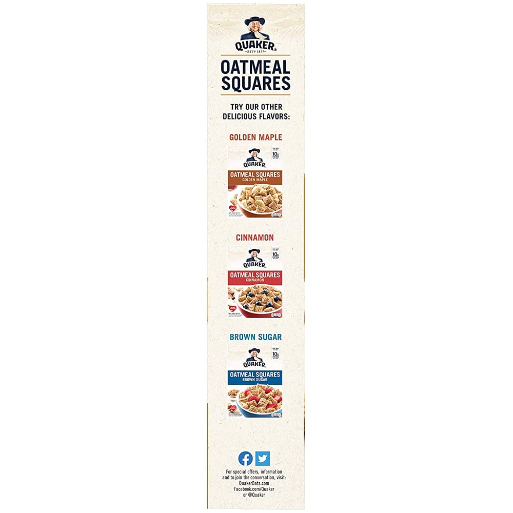 Quaker, Oatmeal Squares, Honey Nut, 14.5 Oz