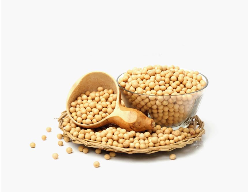 Duhogo Soybean Natto Powder 100% Natural Nattokinase Freeze-Dried Fermented Food Vitamin K2 10.6 Oz(300G)