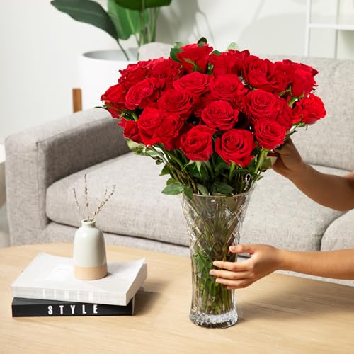 Aquarossa Farms - 12 Red Roses, Fresh Flowers For Delivery, Flowers Fresh Bouquet, Gift Idea For Graduation, Birthday, Anniversa