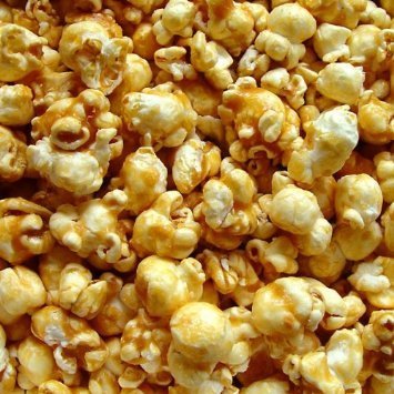 Wabash Valley Farms Gold Medal Frosted Caramel Popcorn Glaze Mix 28 oz Pack