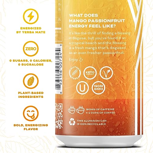 YERBAÉ Yerbaé Variety Flex Pack - Functional Energy Drink, 0 Sugar, 0 Calories, 16oz (Pack of 12), Assorted Flavors