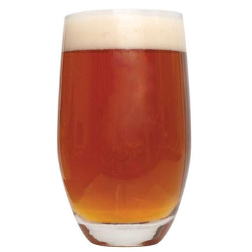 Northern Brewer Dead Ringer IPA Beer Recipe Kit - Makes 5 Gallons - 1 Count