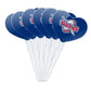 GRAPHICS & MORE Acrylic Cupcake Picks Set of 6 - University of Detroit Mercy Heart Logo Toppers