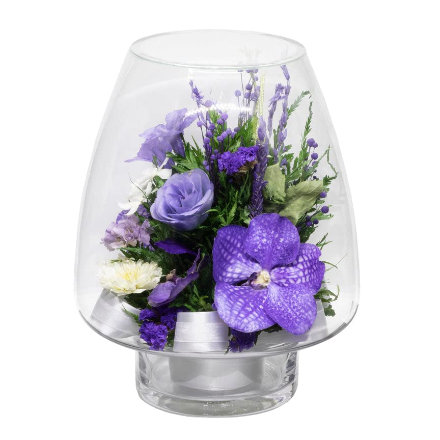 FIORA LIVING FLOWER Fiora Flower Orchids | Purple | 8 Glass Vase | Model 70259 | Long Lasting, Allergy Free, Odor Resistant