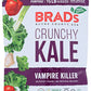 Brads Raw, Chip Kale Vamp Organic, 2 Ounce
