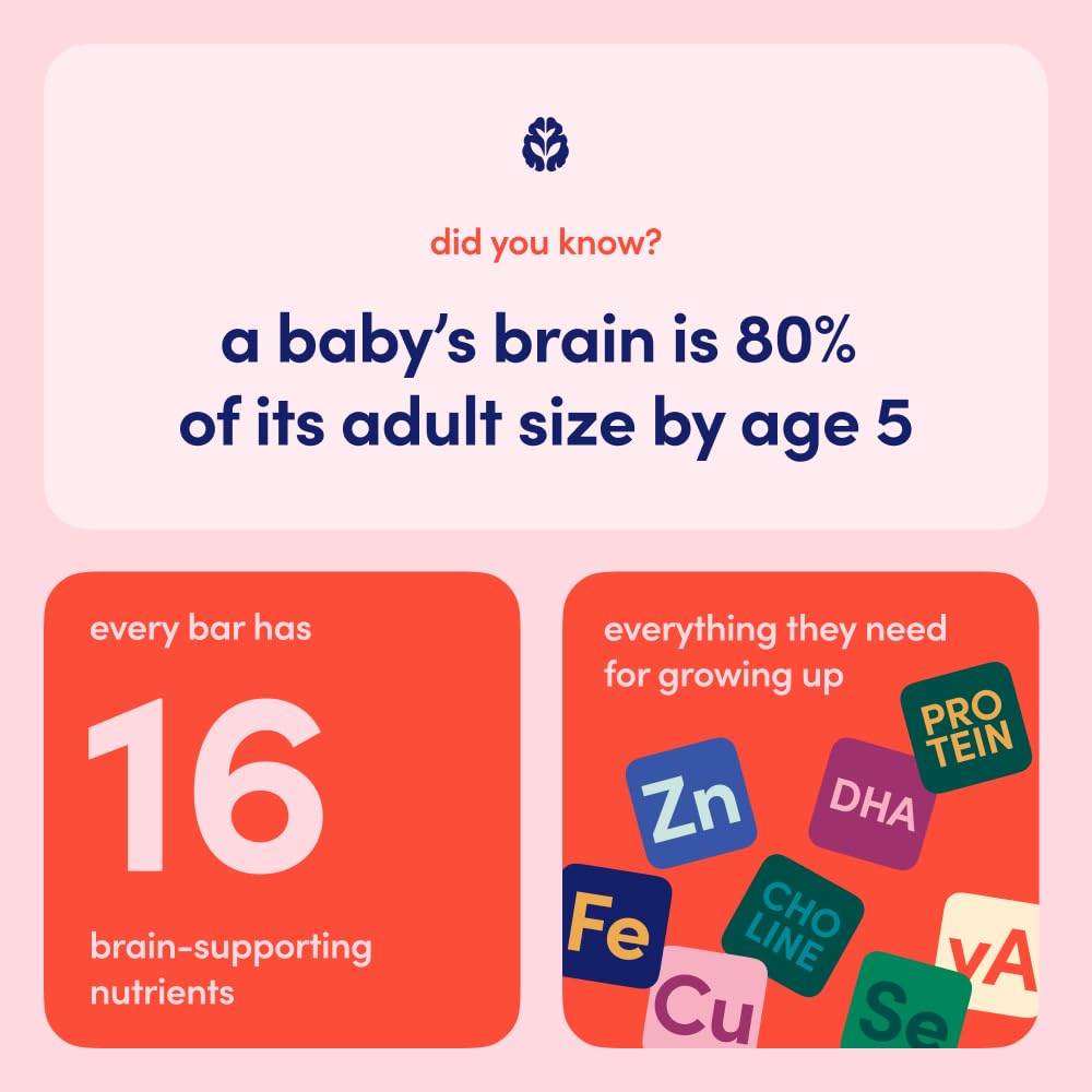 Cerebelly Toddler Snack Bars - Organic Carrot Date Smart Bars (Pack Of 5), Healthy & Organic Whole Grain Bars With Veggies & Fru