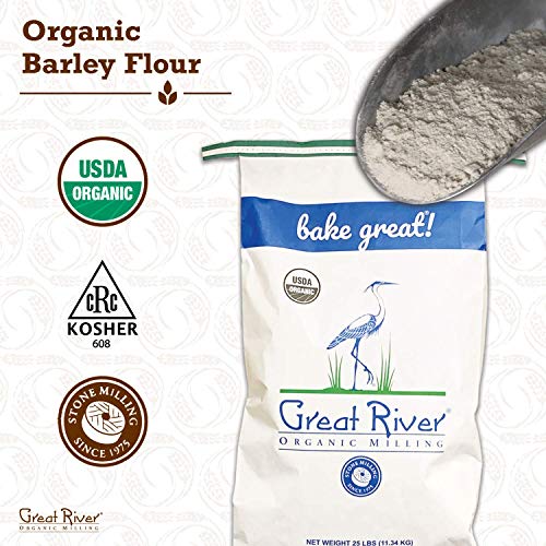 Great River Organic Milling Organic Specialty Barley Flour, 25 lbs, Pack of 1