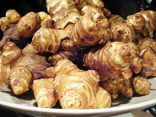 Fresh Jerusalem Artichokes Sunchokes, 5 Pounds, California Farm Grown