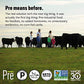 Pre, Ground Beef 95% Lean/5% Fat, Grass-Fed, Pasture-Raised, 1 lb