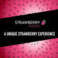 5 Gum Sour Strawberry Sugar Free Chewing Gum Bulk Pack, 15 Stick (Pack Of 10)