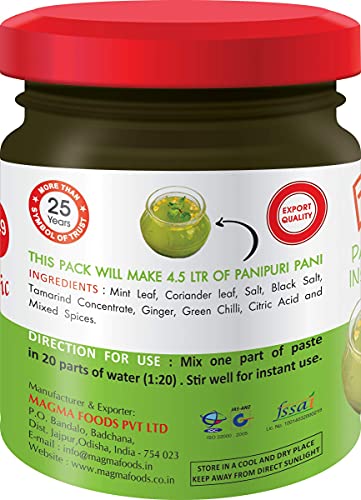 Tamicon 225 Grams Pani Puri Instant Paste