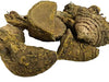 WW Indian Jadibooti Amba Haldi Aamba Haldi Aama Haldi Kasturi Haldi Turmeric 100 Gram