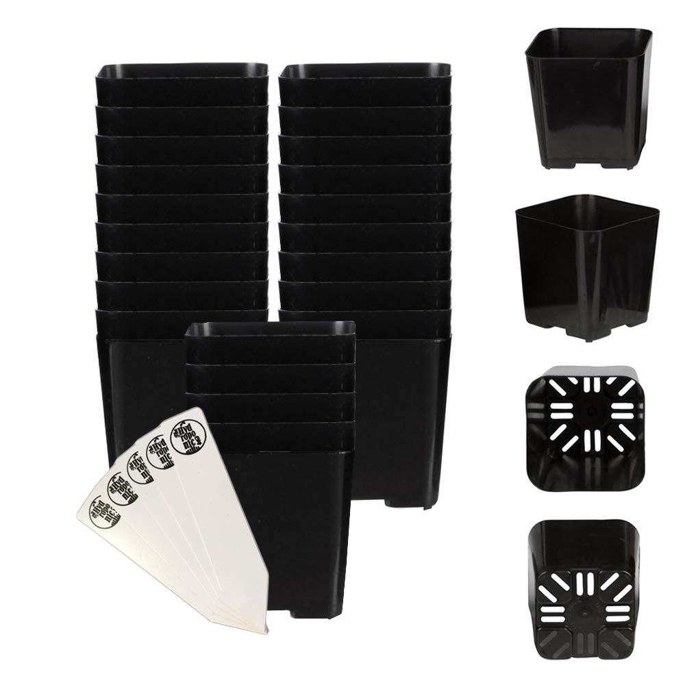 The Hydroponic City Black Square Flower Pots For Starting Seedlings, Succulents, Or Cacti - 2 X 2, Pack Of 25  Thcity Stakes