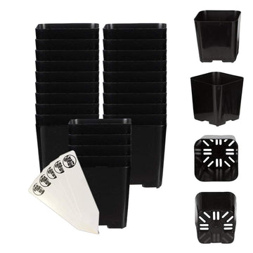 The Hydroponic City Black Square Flower Pots For Starting Seedlings, Succulents, Or Cacti - 2 X 2, Pack Of 25  Thcity Stakes