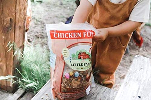 Little Farmer Products Chicken Fun-Doo Non-Gmo, Soy-Free Chicken Treat | Enhanced Poultry Meal Worm, Vegetable & Herb Mix (3 Lbs)
