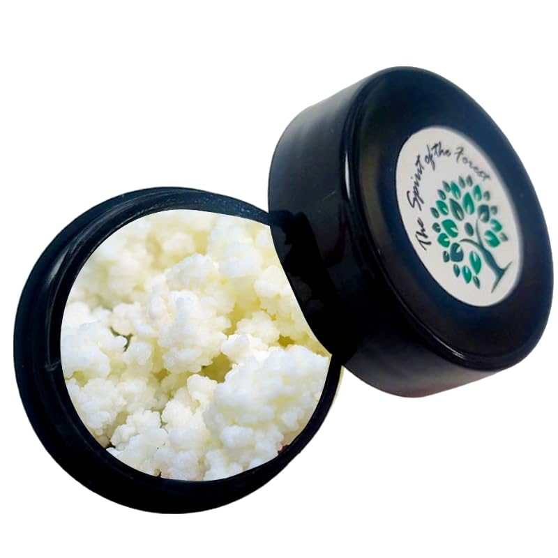 The Spirit Of The Forest Milk Kefir Grains Live Starter 0.16 Ounce Pack