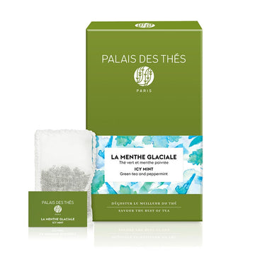 Palais Des Th  S - Icy Mint Tea - Premium Gourmet Green Tea With Peppermint - 20 Count Biodegradable Gourmet Tea Bags Box