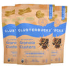Lil Bucks Clusterbucks Gut Friendly Clusters made with Regenerative Organic Sprouted Buckwheat, Gluten Free Snack (Snickerdoodle