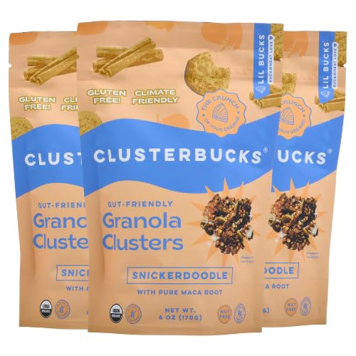 Lil Bucks Clusterbucks Gut Friendly Clusters made with Regenerative Organic Sprouted Buckwheat, Gluten Free Snack (Snickerdoodle