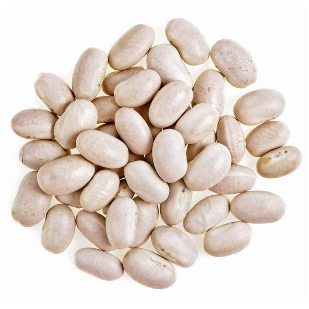 Food To Live Organic Great Northern Beans, 4 Pounds - Dried, Non-Gmo, Kosher, Raw, Sproutable, Bulk Seeds, Product Of The Usa