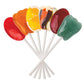 Dr. Johns Healthy Sweets Sugar-Free Lollipops, Ultimate Collection, 14 Count, 3.85 OZ