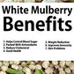 Amphora Organic Soft Dried White Mulberries 4 Ounce (Pack Of 2)