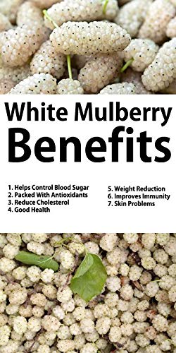 Amphora Organic Soft Dried White Mulberries 4 Ounce (Pack Of 2)