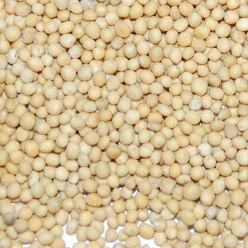 Yellow Mustard Seed-2 oz Pouch