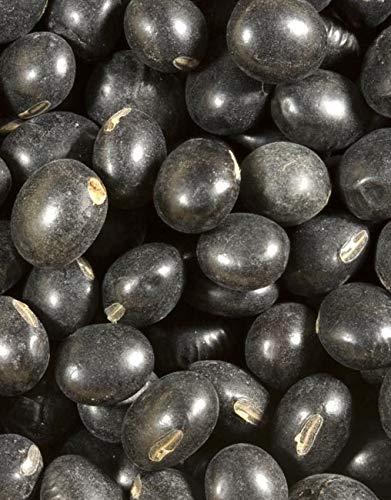 Shiloh Farms - Organic Black Soybeans 2 Pack - 15 Ounce Each