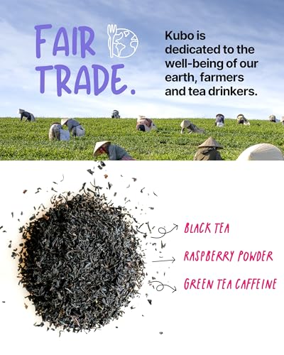 Kubo Tea Organic Raspberry Black Tea Bags - High Caffeine Iced Tea (155 mg) - 20 Ct - 1.76 Ounce Pack - Compostable Packaging