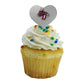 GRAPHICS & MORE Cupcake Picks Set of 6, Acrylic Decoration, Cumberland University Heart Love Design