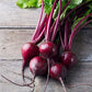 Biotta Organic Beet Juice - 100% Natural Beetroot Superfood - Helps Support Blood Pressure, Brain, Stamina & Energy - Natural Ni