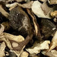The Wild Mushroom Co. Dried Gourmet Mix Mushrooms, Premium Quality, 12 oz (340g)