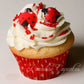 Oasis Supply Set Of 12 Edible Sugar Ladybug Toppers For Cakes Or Cupcakes