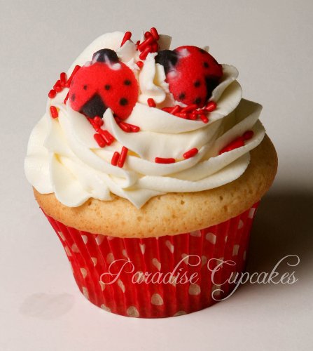 Oasis Supply Set Of 12 Edible Sugar Ladybug Toppers For Cakes Or Cupcakes