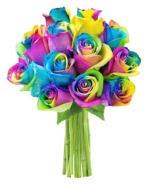 KaBloom PRIME NEXT DAY DELIVERY - Fall Collection - Beautiful Rainbow Rose Bouquet - 12 Roses and Greens. Gift for Birthday  Sympathy  Anniversary  Thank You  Valentine  Mothers Day Fresh Flowers