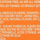 Lipton Lemon Herbal Tea (Box Of 28)