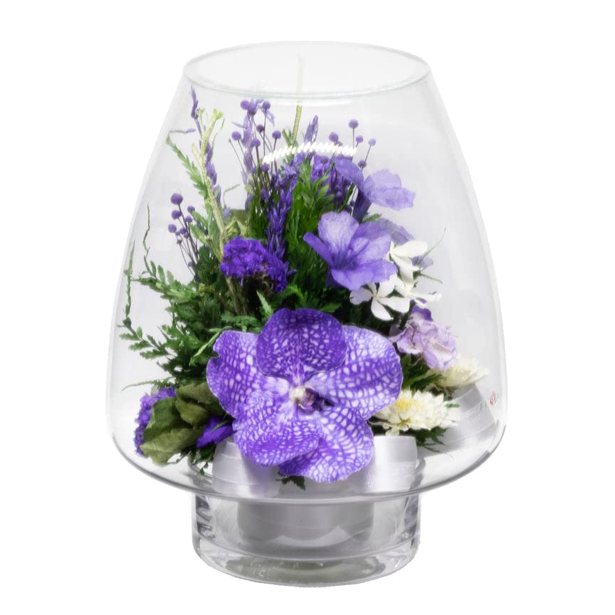FIORA LIVING FLOWER Fiora Flower Orchids | Purple | 8 Glass Vase | Model 70259 | Long Lasting, Allergy Free, Odor Resistant
